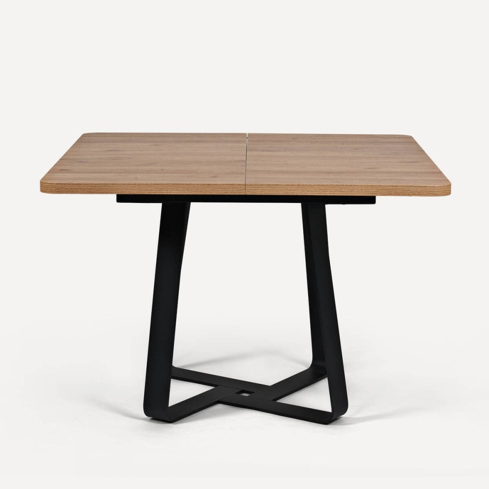 MESA CODE Extensible