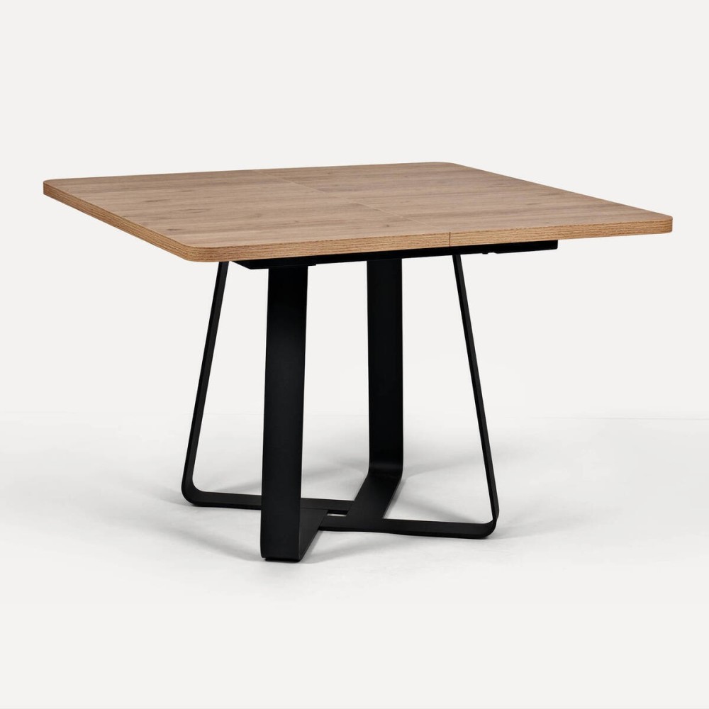 MESA CODE Extensible