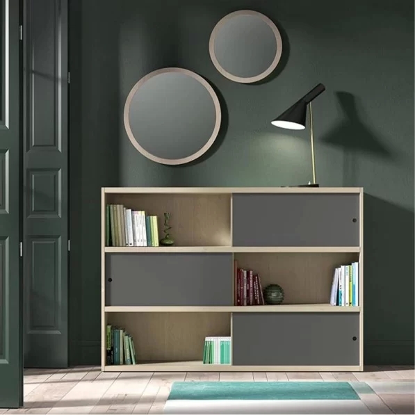 Librería Icon