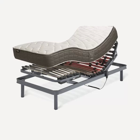 Pack Ergonomic Fresh Pur +...