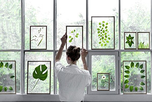 DIY-wallart-plantas-distintas-figuras_min DIY wallart con hojas